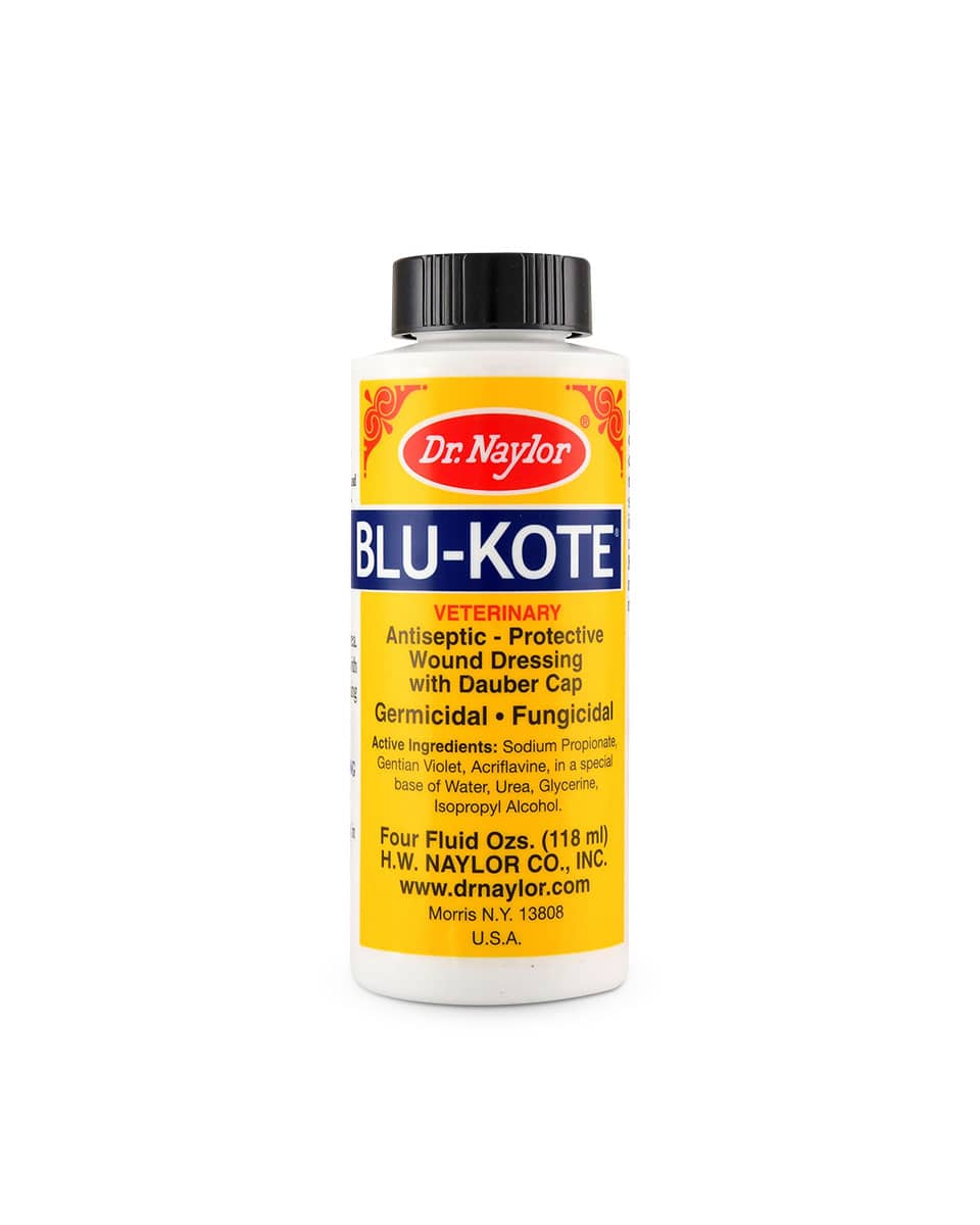 Blu-Kote Wound Dressing with dauber