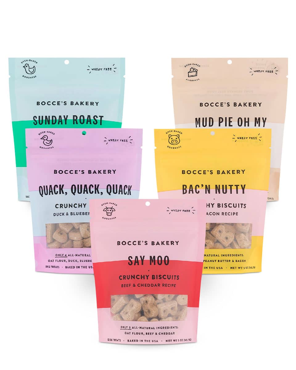 Bocce's Bakery Everyday Biscuits Dog Treats