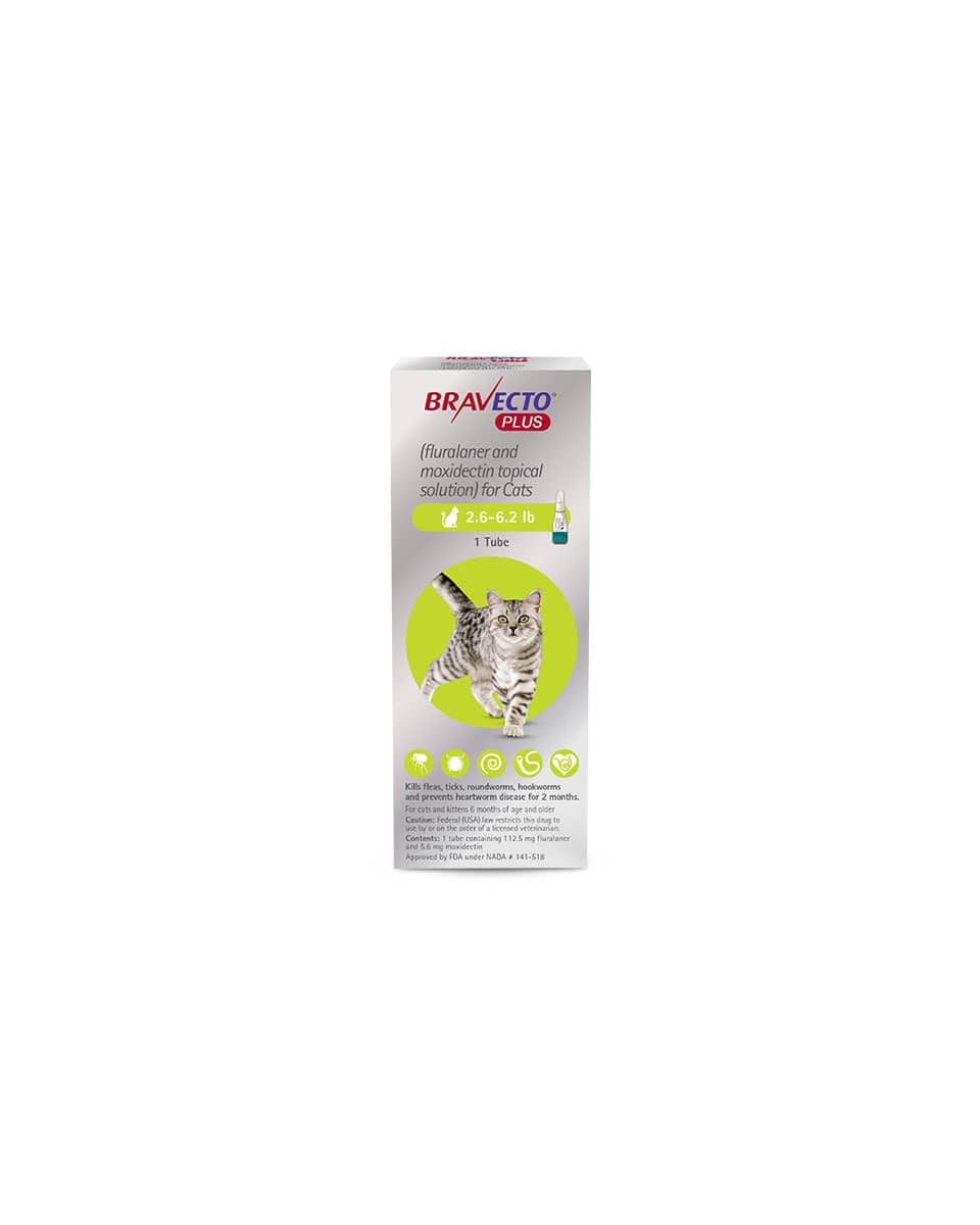 Bravecto Plus for Cats from Merck