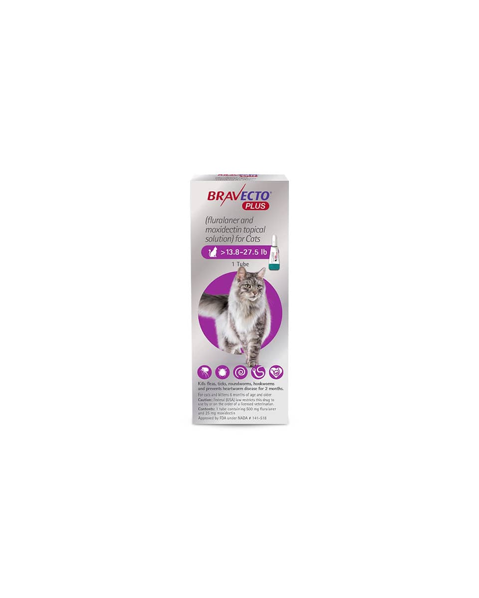 Bravecto Plus for Cats from Merck