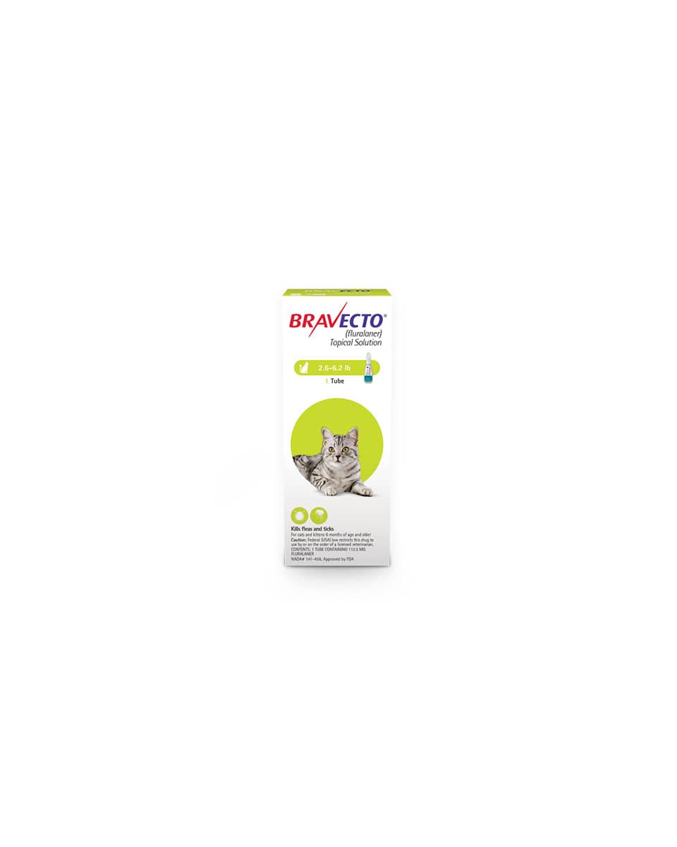 Bravecto for Cats 2.6-6.2lb topical continuous flea and tick protection