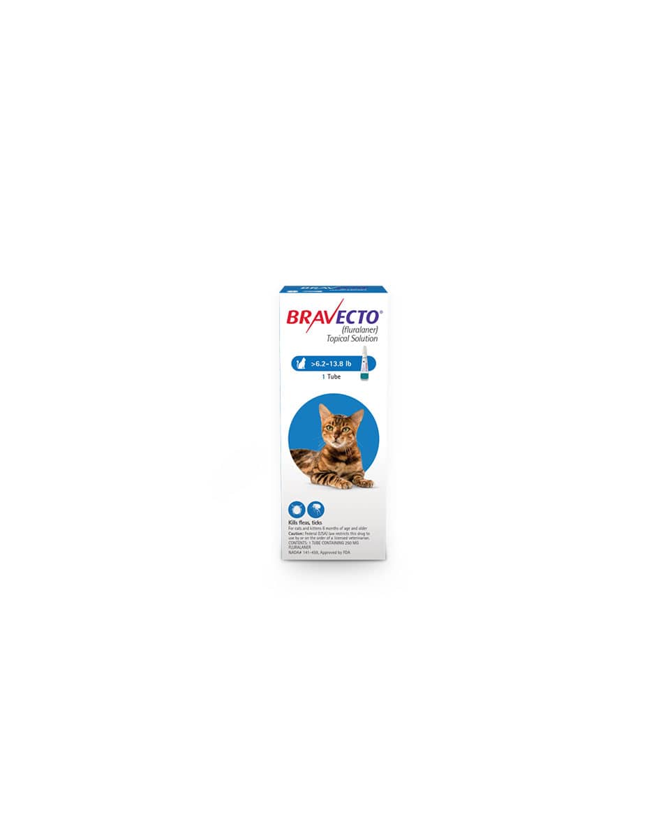 Bravecto for Cats 6.2-13.8lb topical continuous flea and tick protection