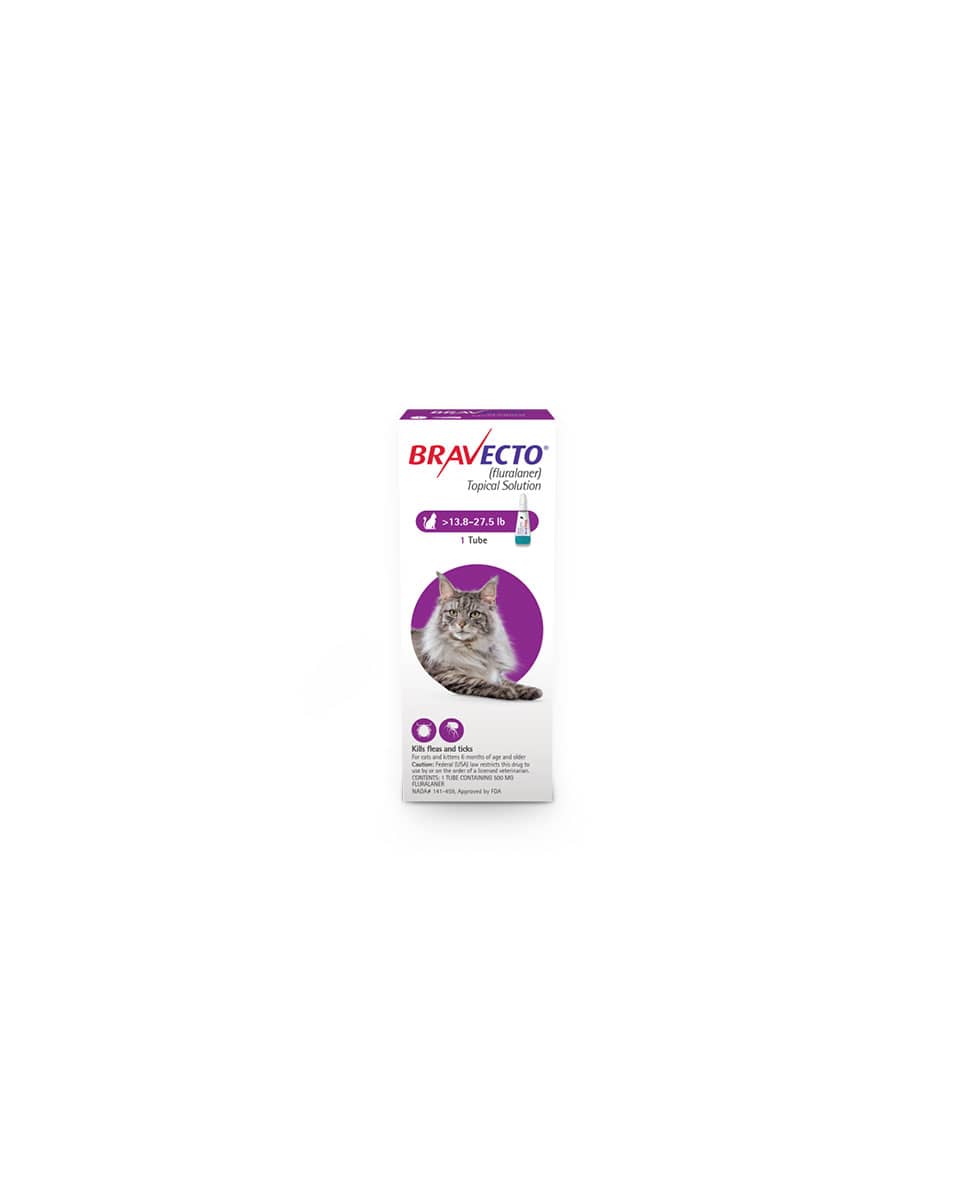Bravecto for Cats 13.8-27.5lb topical continuous flea and tick protection
