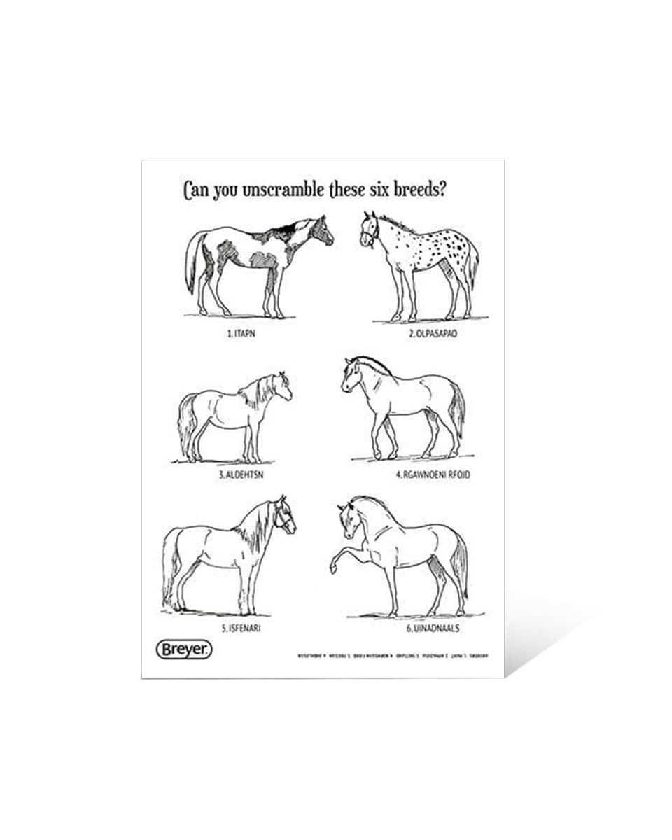 Breyer "H is for Horse" Coloring Book with Stickers Activity Book