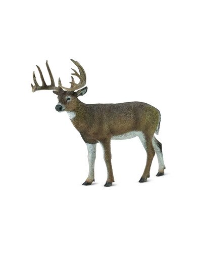 Breyer White Tailed Deer
