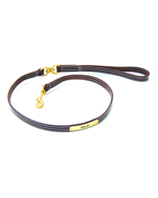 Walsh British Dog Leash