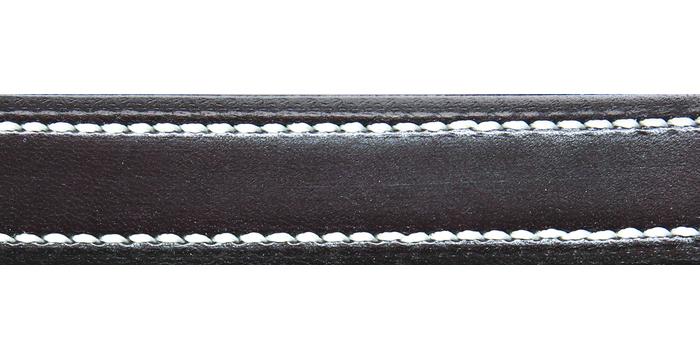 Walsh British Dog Leash