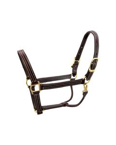 British Leather Halter