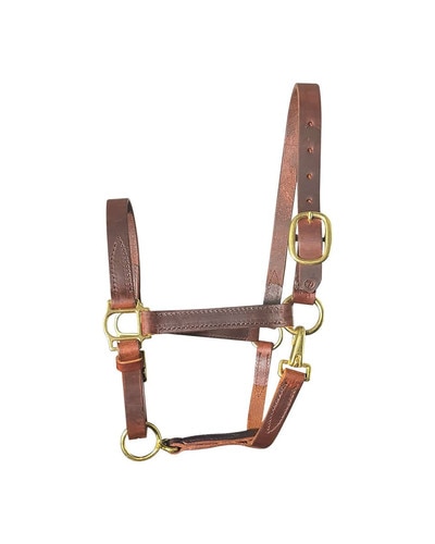 Horse Cents Leather Turnout Halter with Buckle Chin and Throat Snap