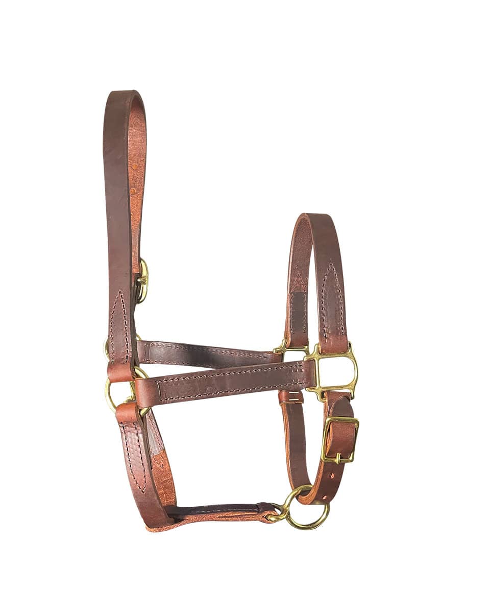 Horse Cents Leather Turnout Halter with Buckle Chin/Throat Snap