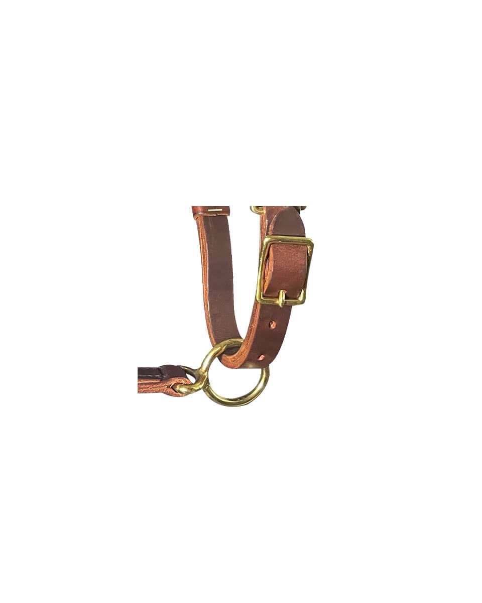 Horse Cents Leather Turnout Halter Buckle Chin