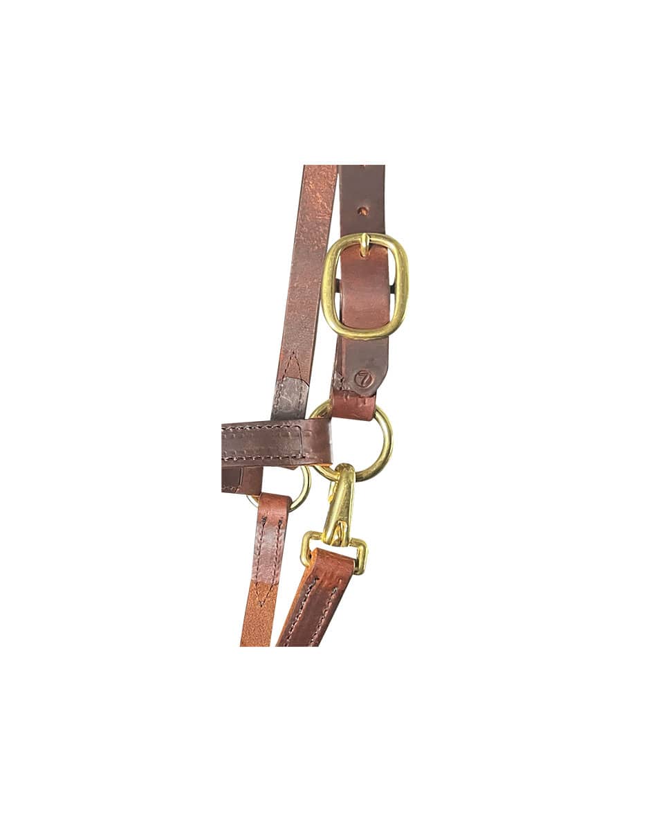 Horse Cents Leather Turnout Halter Throat Snap