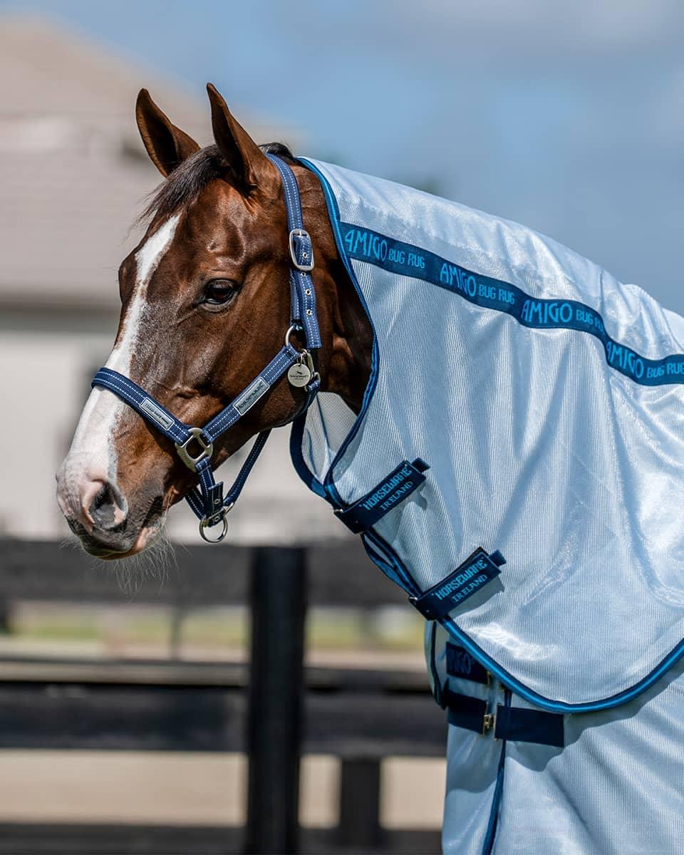Amigo Bug Rug Plus Fly Sheet for horses