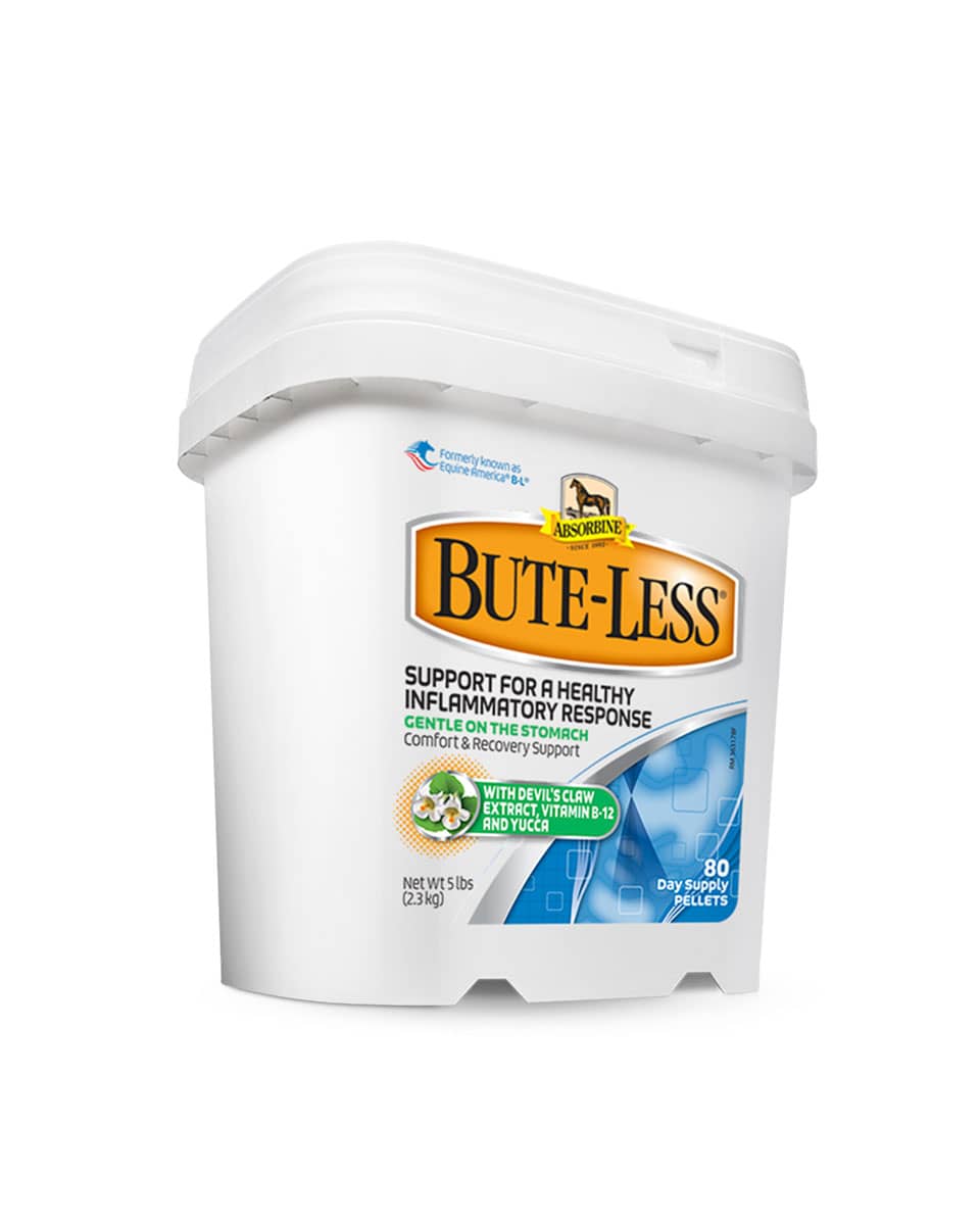 Bute-Less Comfort & Recovery Support Pellets supplement for horses