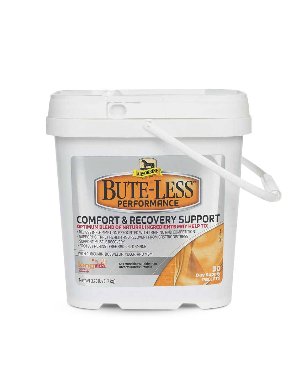 Bute-Less Performance Comfort & Recovery Support Pellets supplement for horses