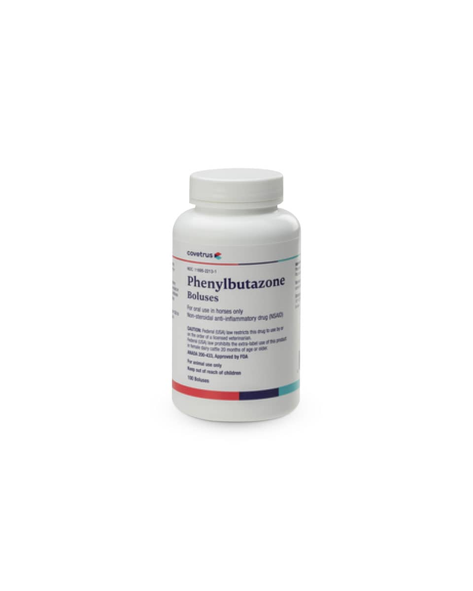 Bute (Phenylbutazone) Tablets for horses