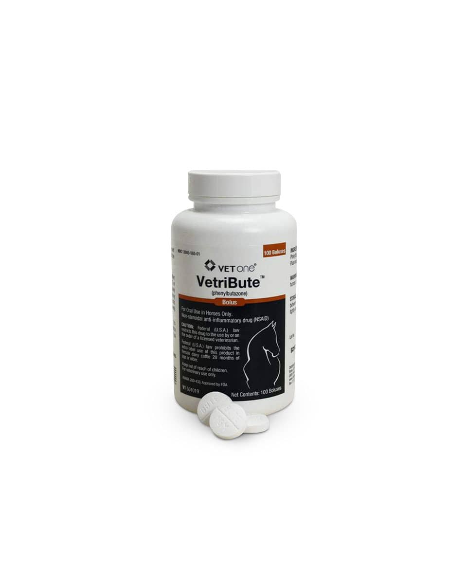 Bute (Phenylbutazone) Tablets for horses