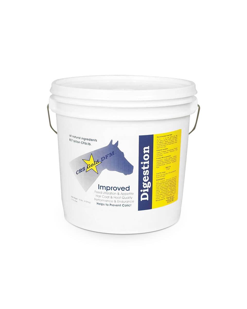 CRS Gold DFM nutritional supplement for horses