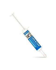 Oralx Calm & Cool Paste