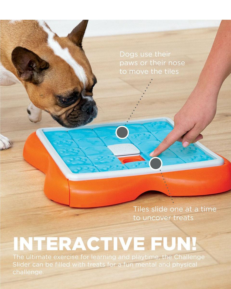 Challenge Slider Interactive Puzzle Dog Toy from Nina Ottosson