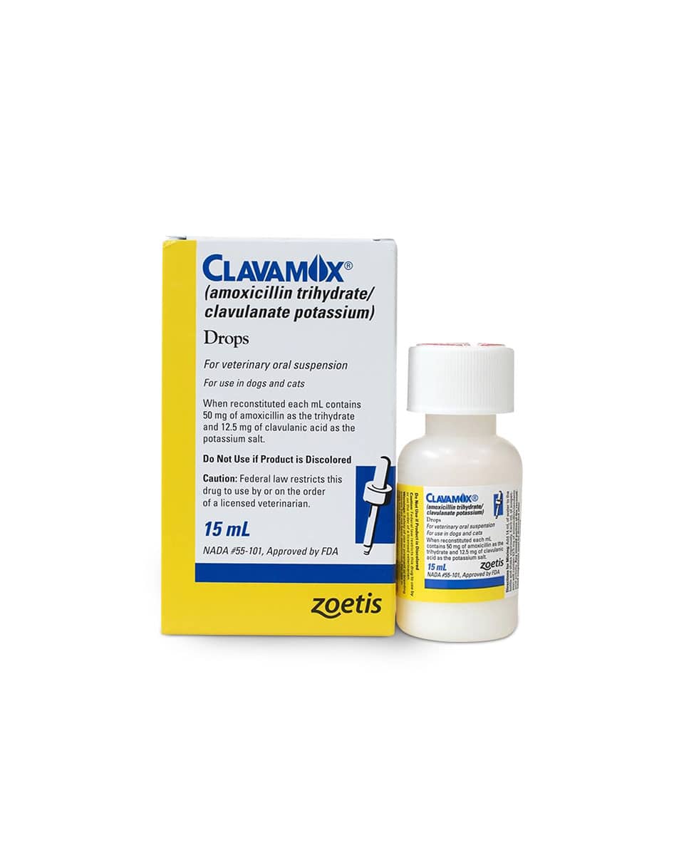 Clavamox Suspension (Amoxicillin)