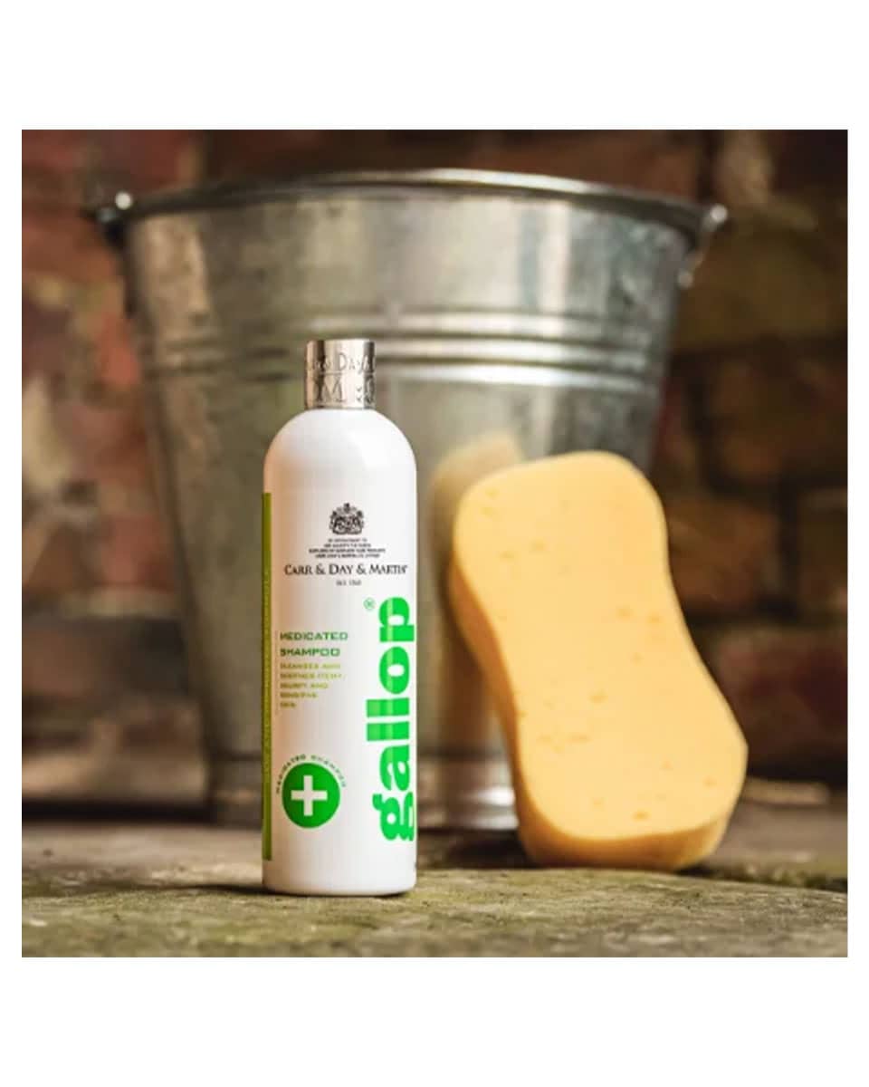 Gallop Clean & Clear Shampoo