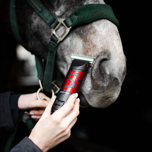 Liveryman Clippers for horses at FarmVet.com.