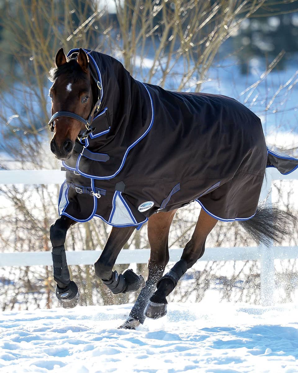 Comfitec Ultra Cozi II Detach-A-Neck (360g Heavy) Turnout Blanket from WeatherBeeta