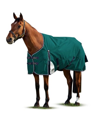 WeatherBeeta Comfitec Plus Dynamic Standard Neck Turnout 220g Medium Forest Green/Navy