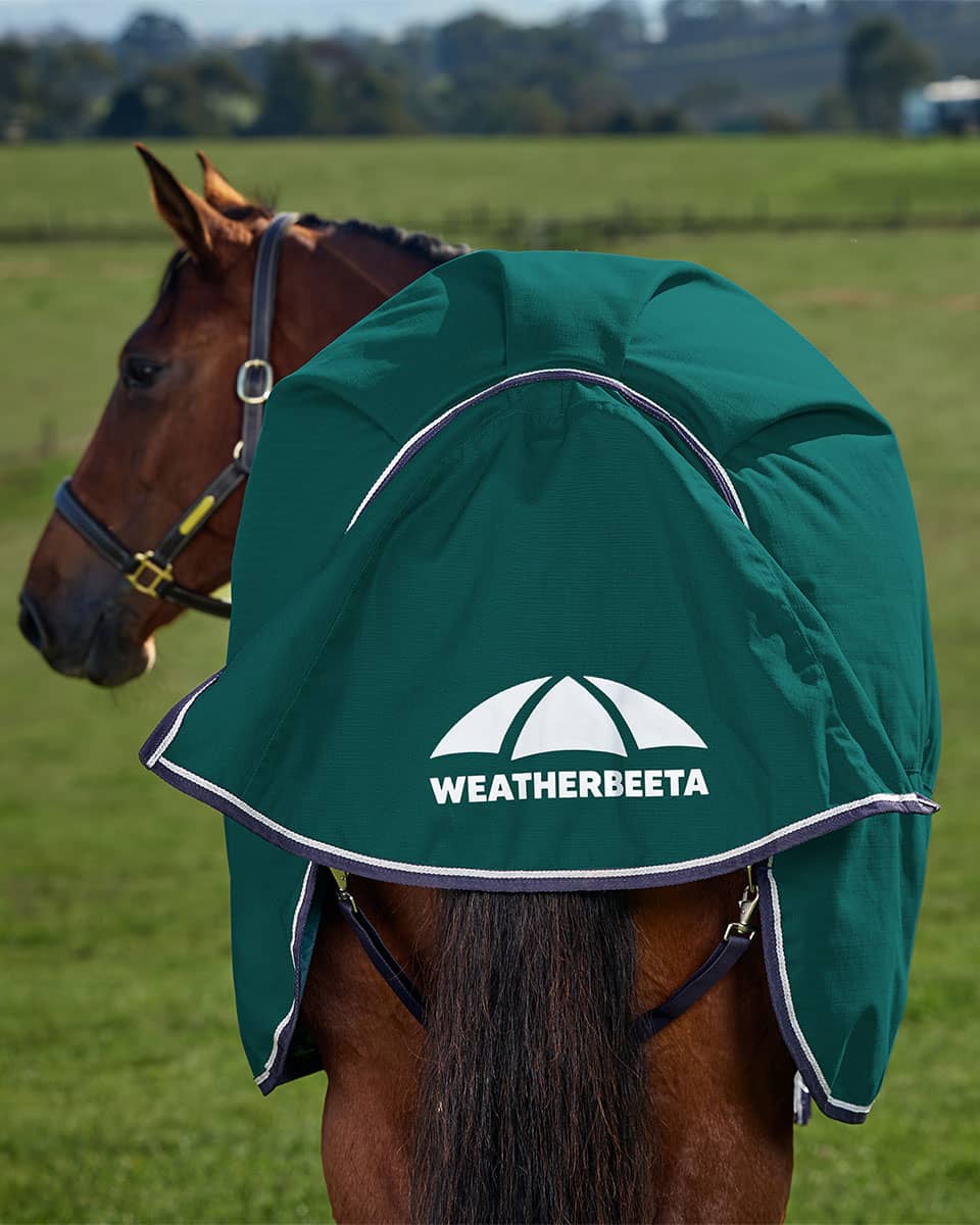 WeatherBeeta Comfitec Plus Dynamic Standard Neck Turnout 220g Medium with Large Tail Flap