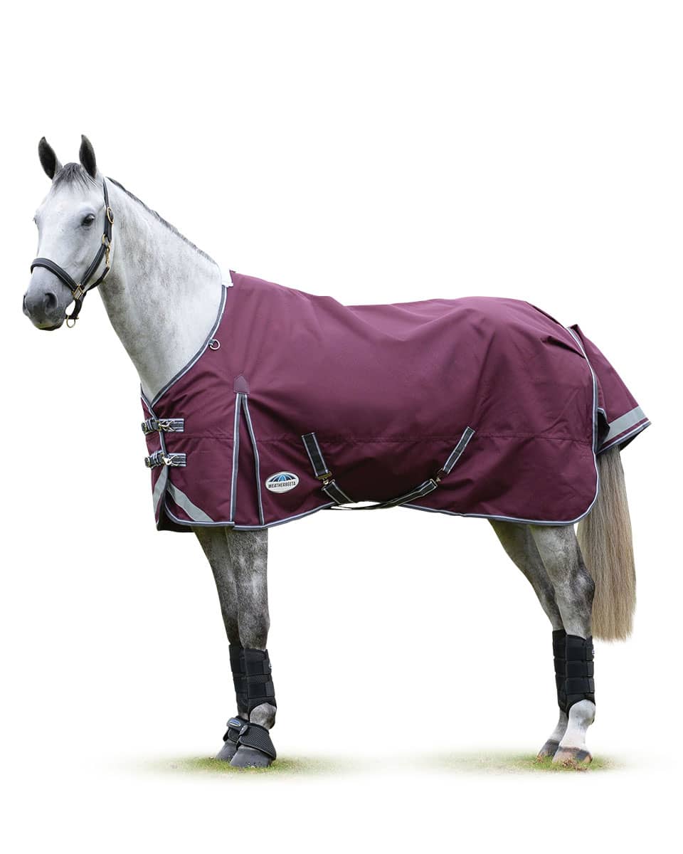 Comfitec Plus Dynamic Standard Neck Medium from WeatherBeeta