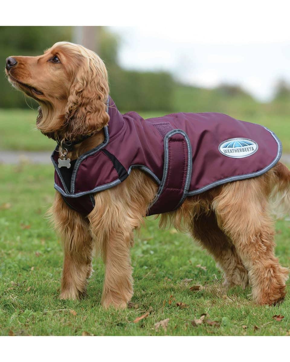 WeatherBeeta ComFiTec Windbreaker Dog Coat – 420D Showerproof, Boa Fleece Lined, With Leash Hole & Touch Tape Closure