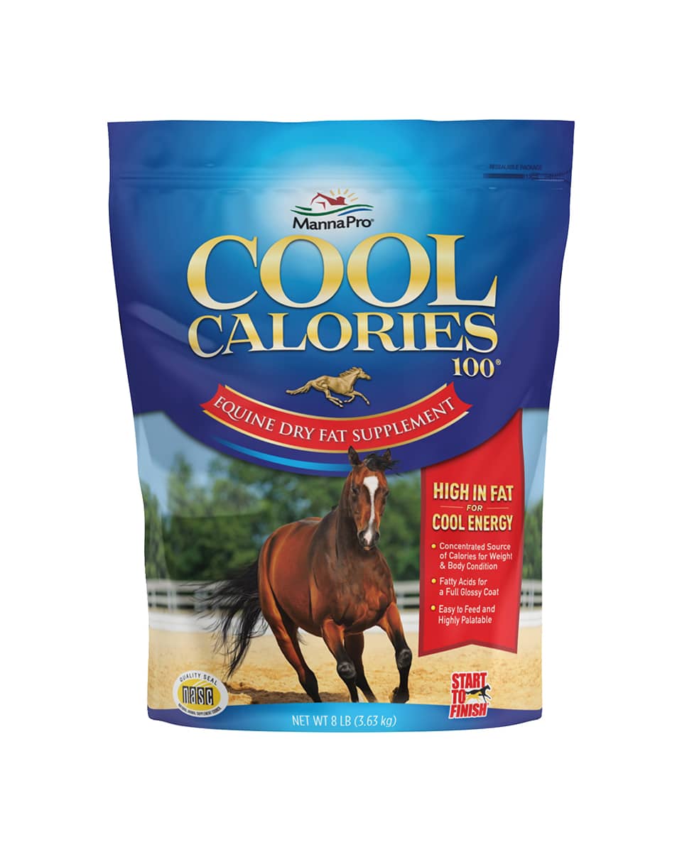 Cool Calories equine supplement