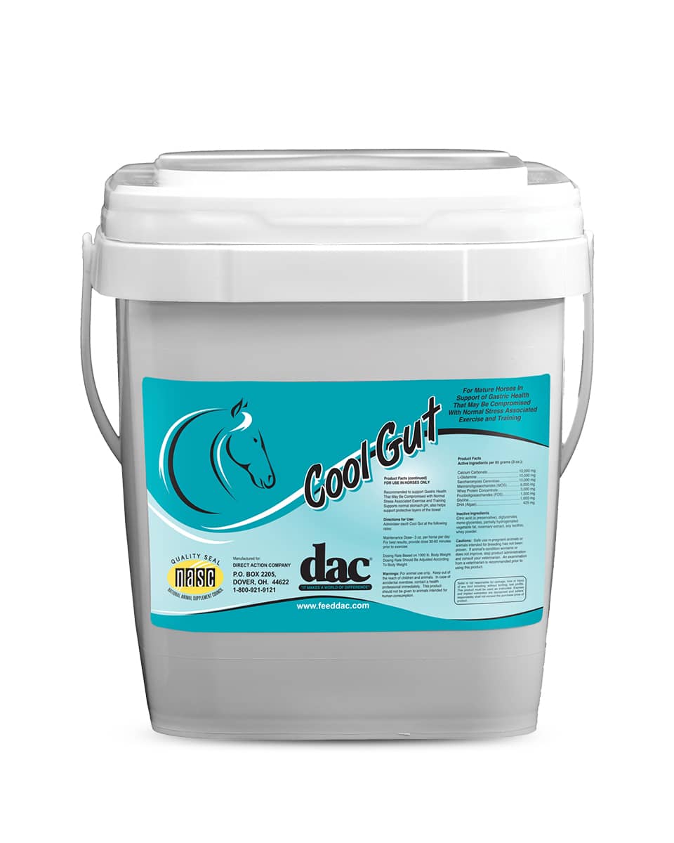 Cool Gut gastric support supplement for horses from dac