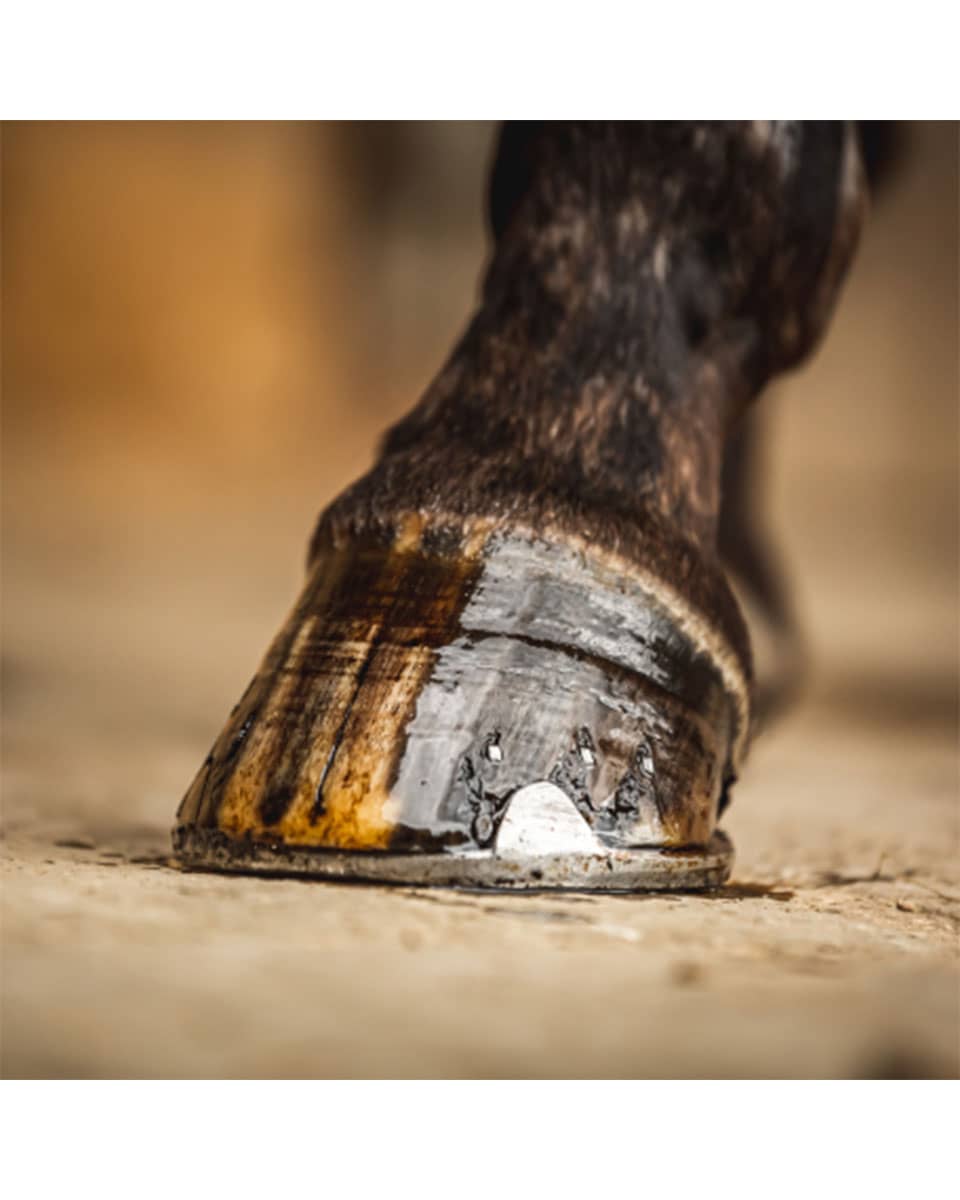 Cornucrescine Tea Tree Hoof Oil from Carr & Day & Martin