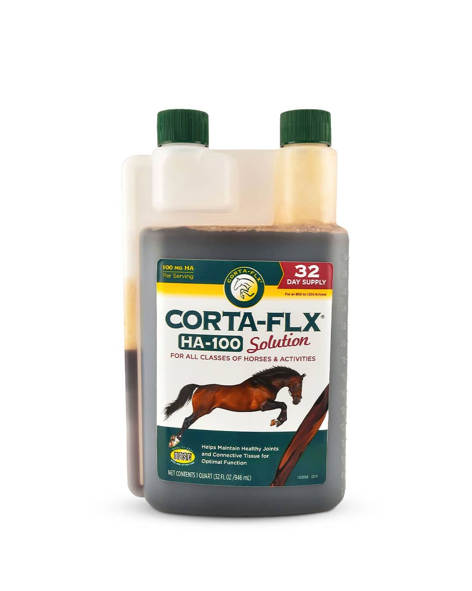 Corta-Flx HA-100 Solution joint supplement for horses by Corta-Flx