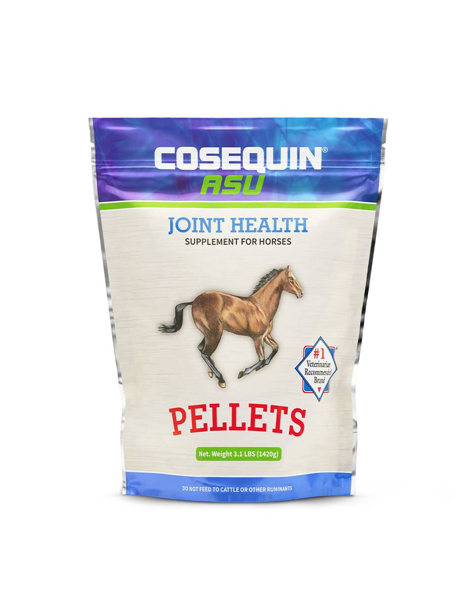 Cosequin ASU Pellets from Nutramax - joint supplement for horses