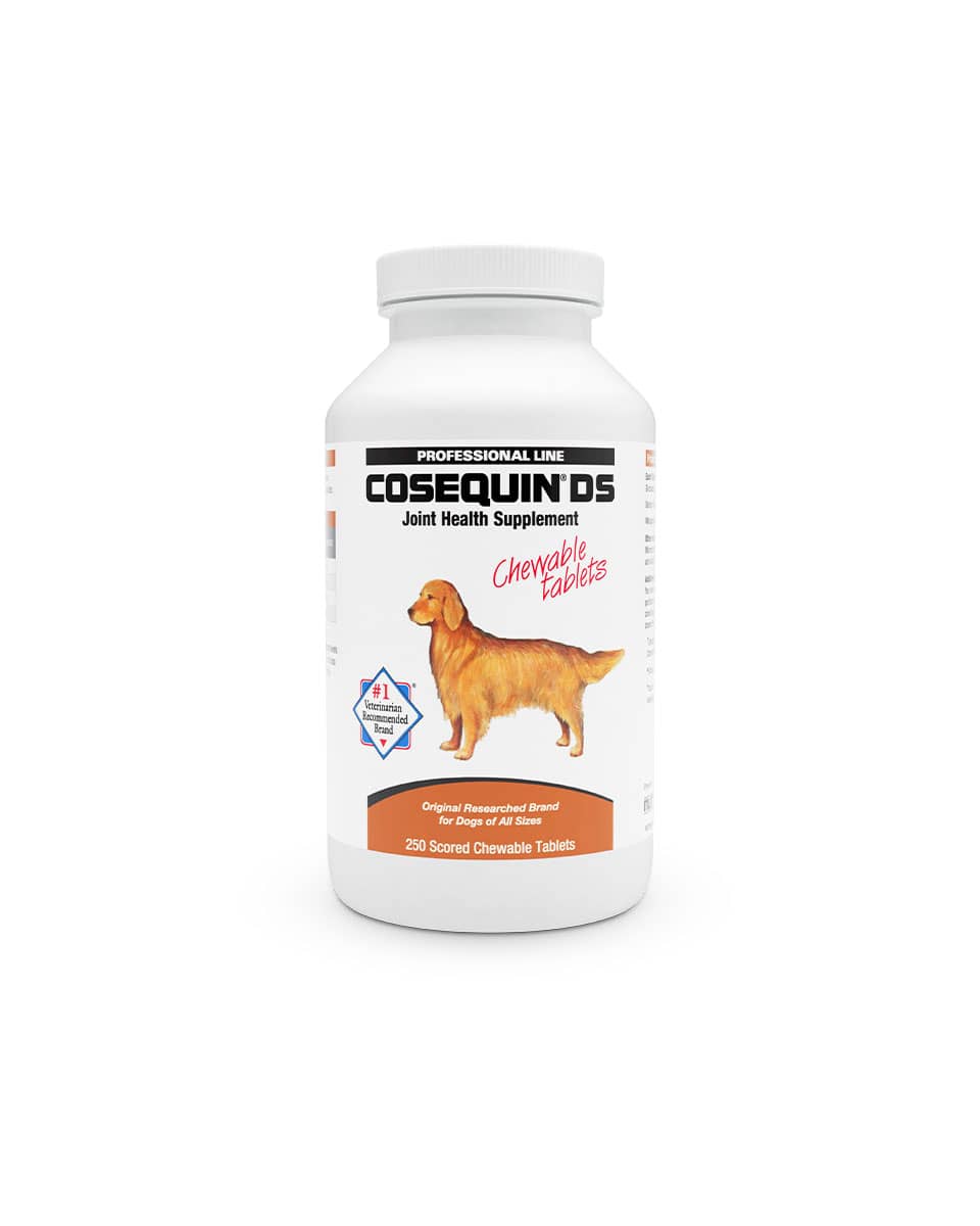 Cosequin Double Strength Chewable Tablets from Nutramax - joint supplement for dogs