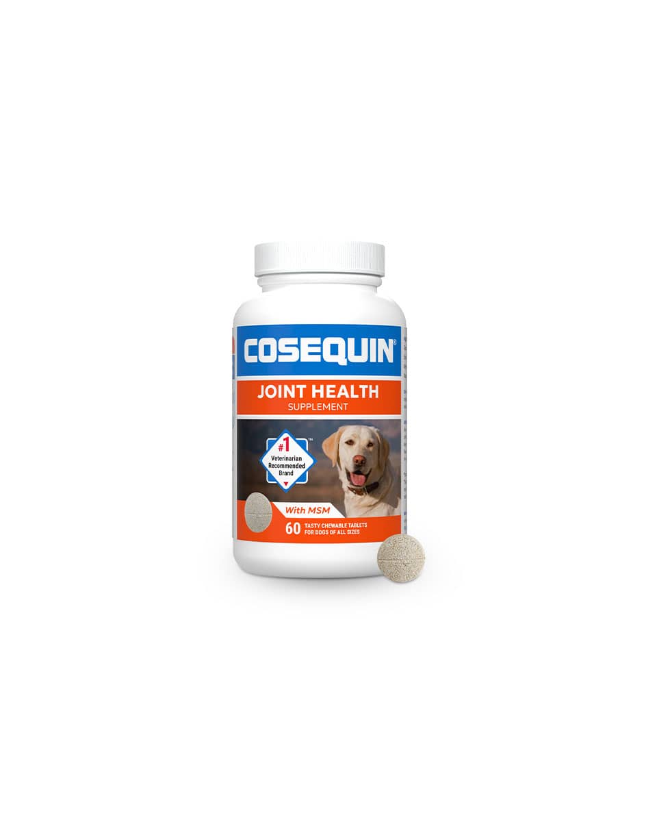 Cosequin DS Maximum Strength PLUS MSM Chewable Tablets