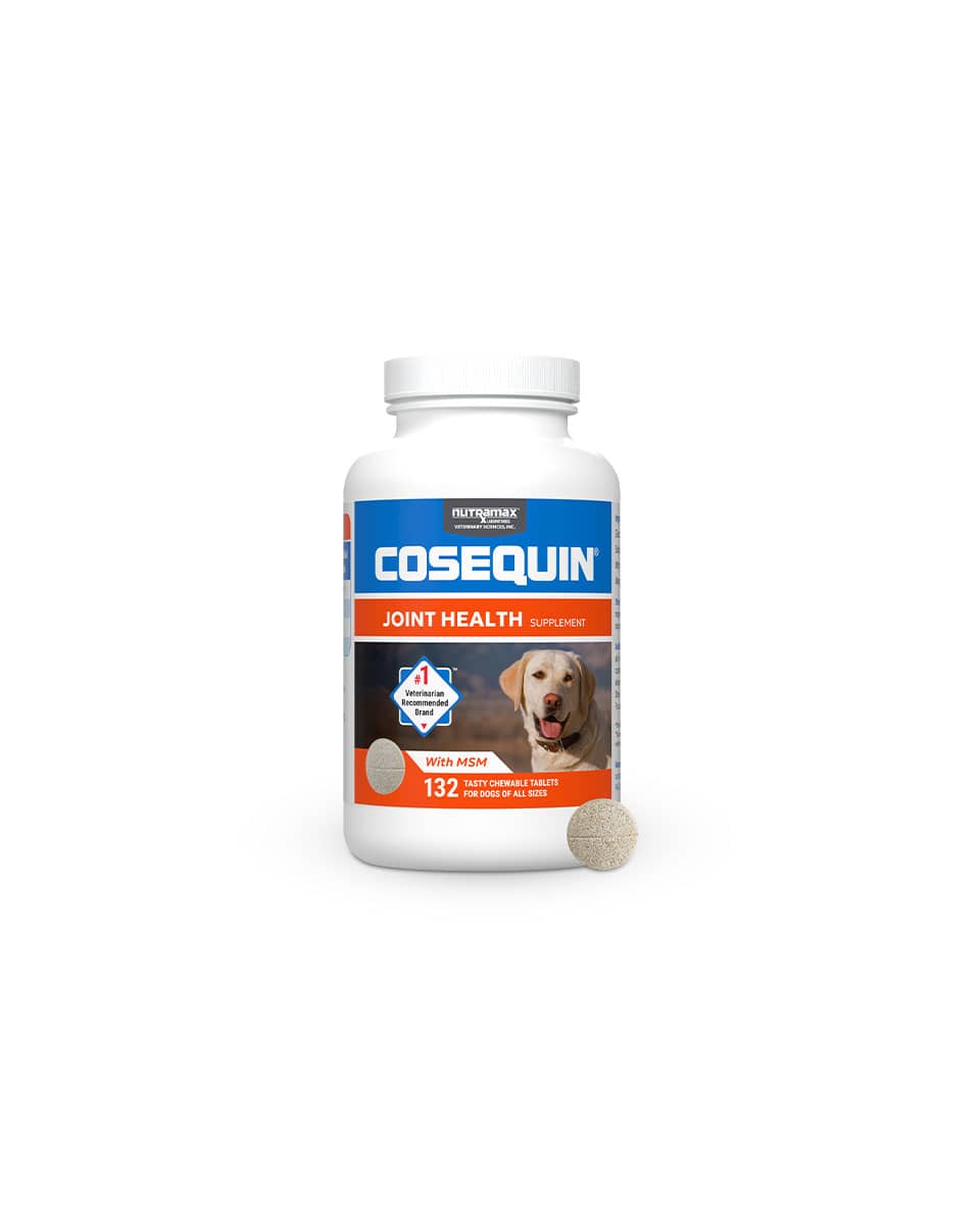 Cosequin DS Maximum Strength PLUS MSM Chewable Tablets