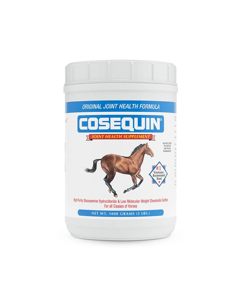 Cosequin joint supplement for horses from Nutramax