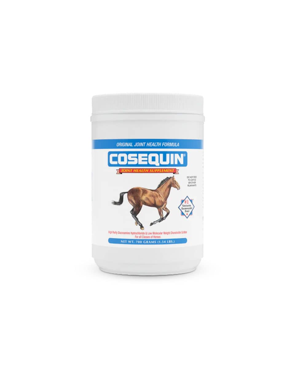 Cosequin joint supplement for horses from Nutramax 700 gram