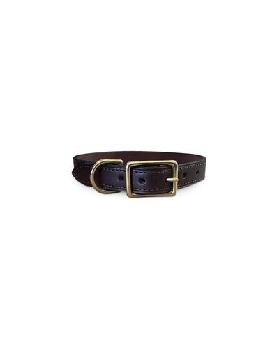 Horse Cents Dark Brown Leather Stitched Dog Collar