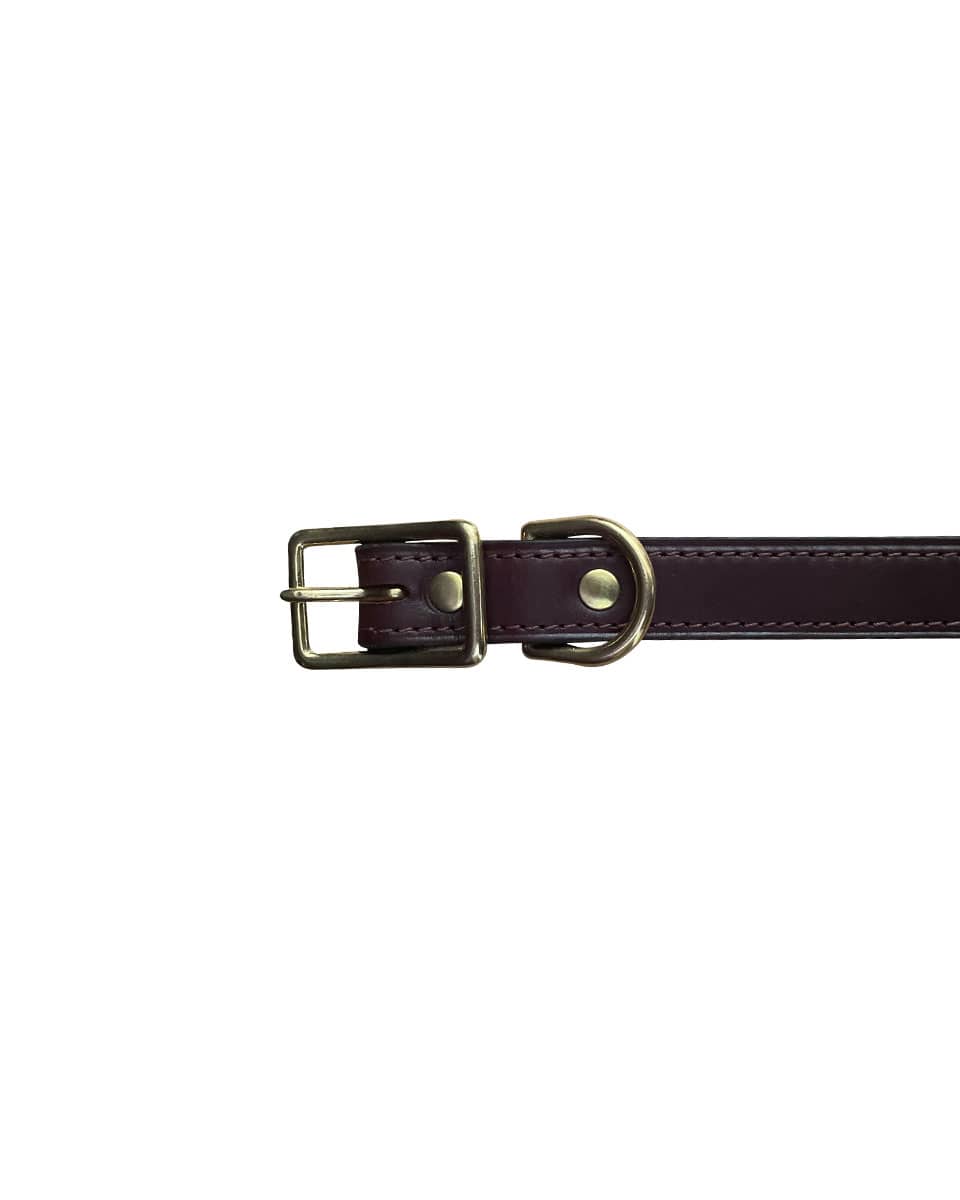 Horse Cents Leather Dark Brown Dog Collar