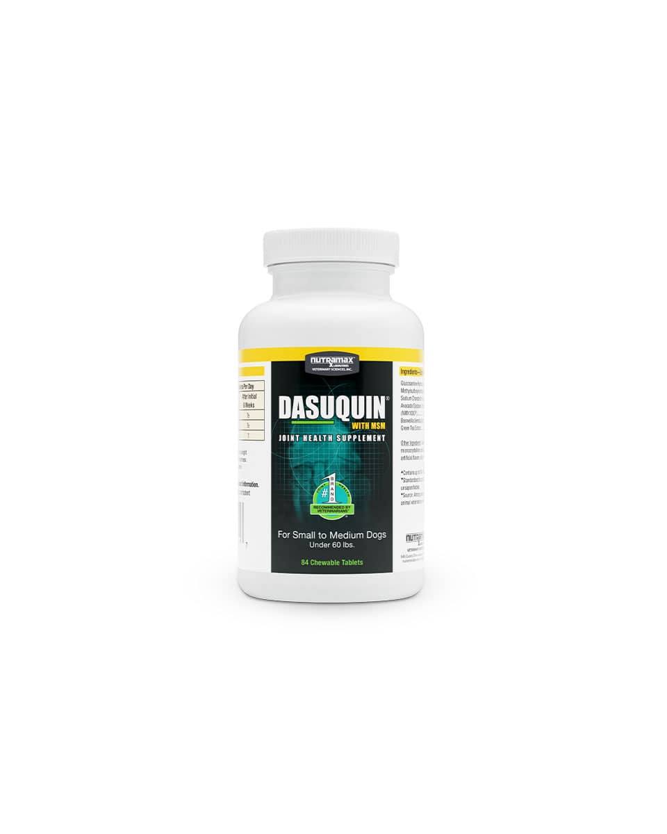 Dasuquin with MSM Chewable Tablets from Nutramax - joint supplement for dogs