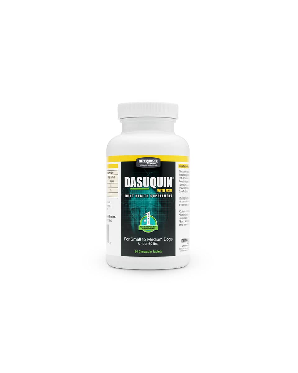 Dasuquin with MSM Chewable Tablets from Nutramax
