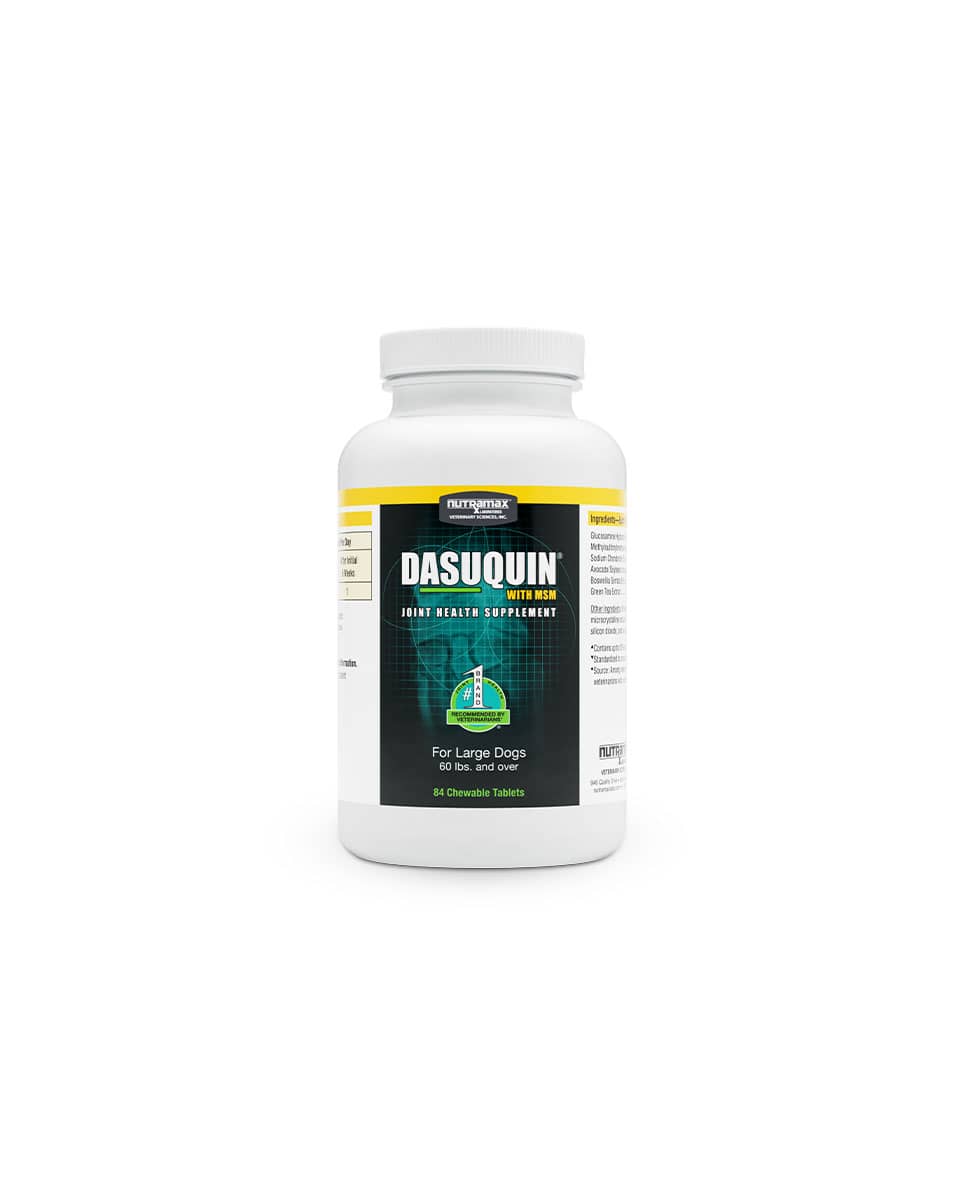 Dasuquin with MSM Chewable Tablets from Nutramax - joint supplement for dogs