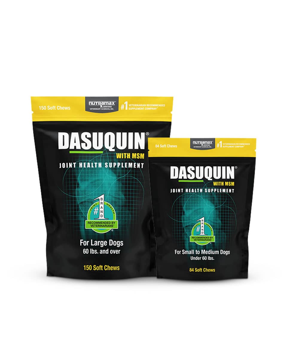 Dasuquin with MSM Soft Chews for Dogs