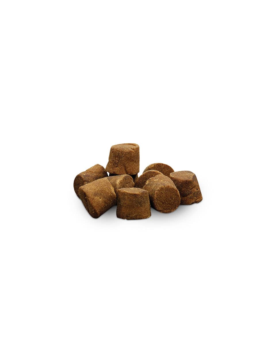 Dasuquin with MSM Soft Chews for Dogs