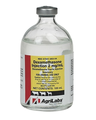 dexamethasone for horses